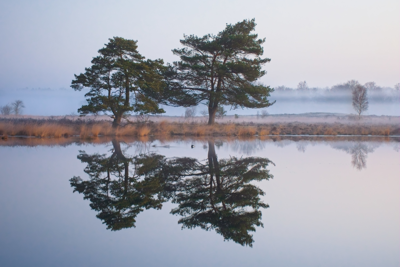 Voorbeeld