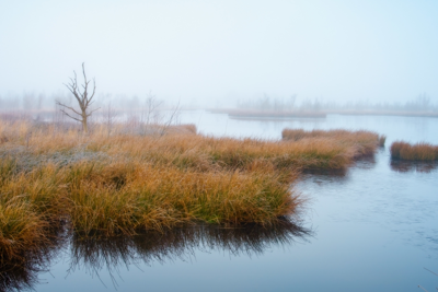 Voorbeeld