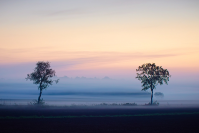 Voorbeeld