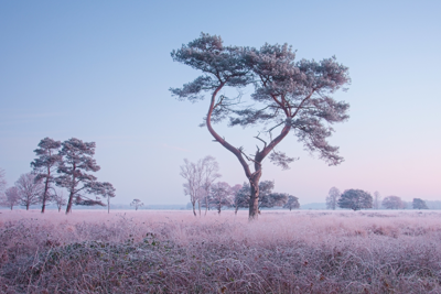 Voorbeeld