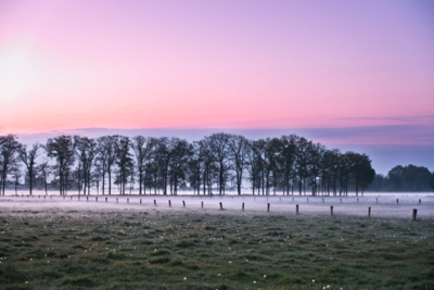 Voorbeeld