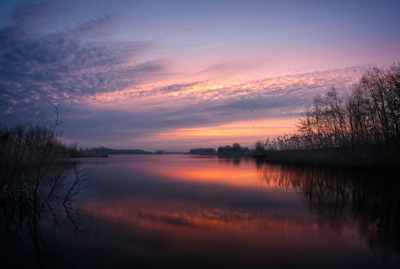 Voorbeeld