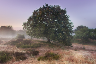 Voorbeeld