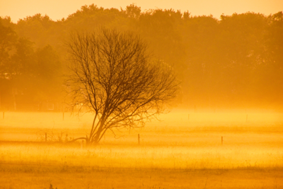 Voorbeeld