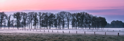 Voorbeeld